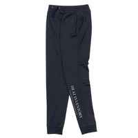 HEATinventory Brand Skinny Joggers