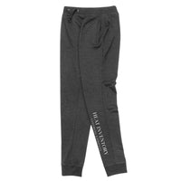 HEATinventory Brand Skinny Joggers